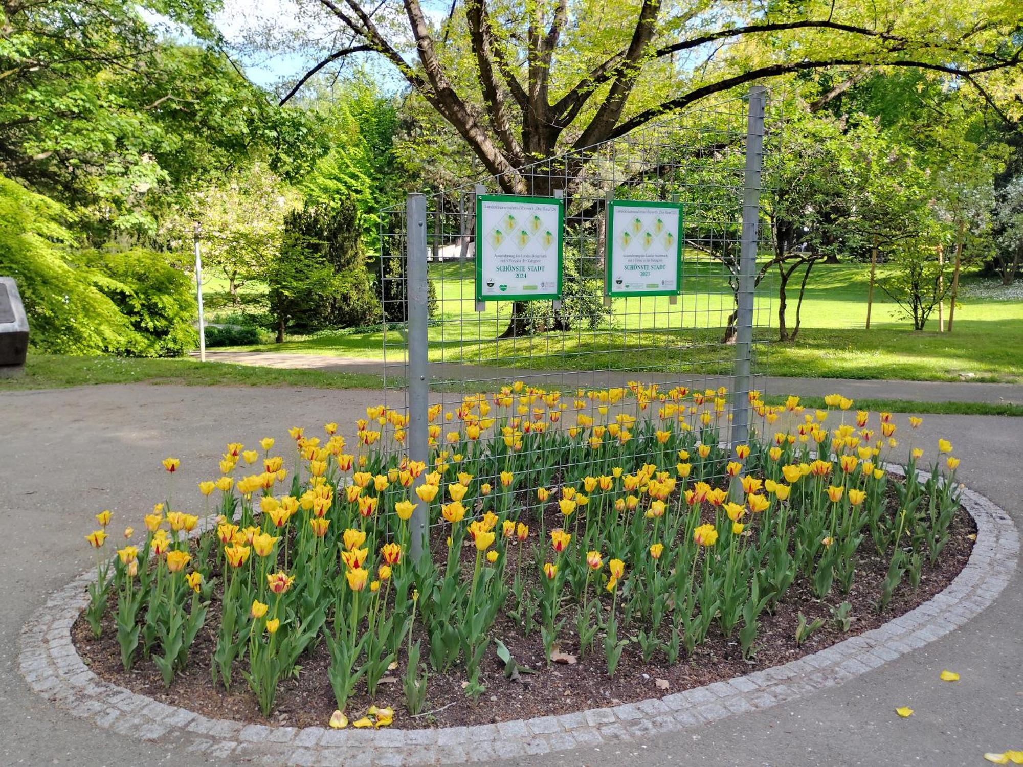 Wohnung In Leoben Zentrum Zwischen Hauptplatz Und Stadtpark Buitenkant foto